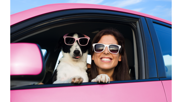 Unleashing the Power of Dog Mom Blogging: Tips, Product Recommendations, Training Advice, and More!